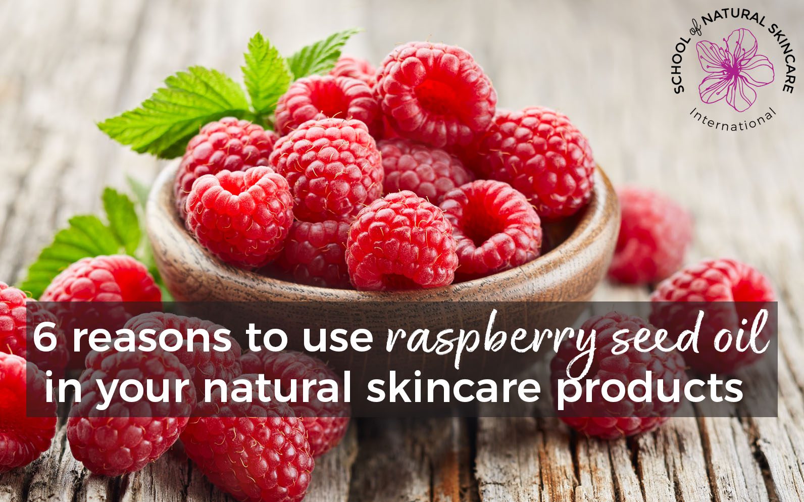 Strawberry Seed Oil Serum - Make Your Own Night Time Facial Moisturizer