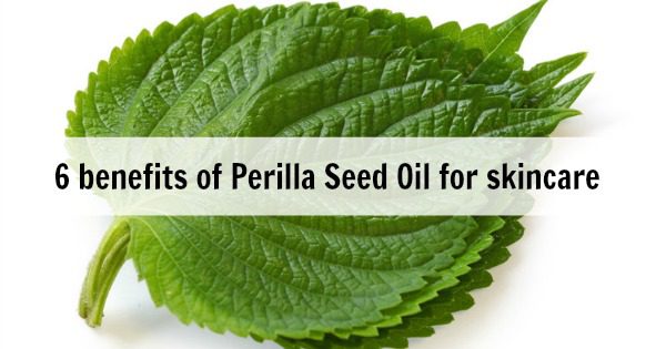 6-benefits-of-perilla-seed-oil-for-skin-school-of-natural-skincare