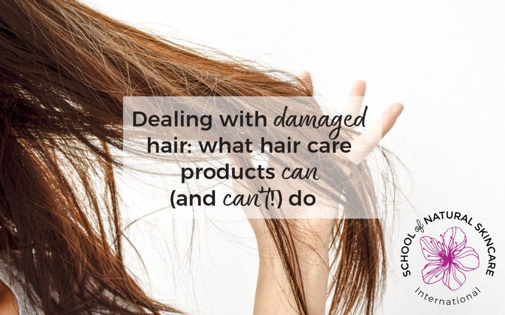 This article explores how to find the causes of hair damage, how and why to treat them, and what hair products can, and cannot do, in contrast to skin care products.