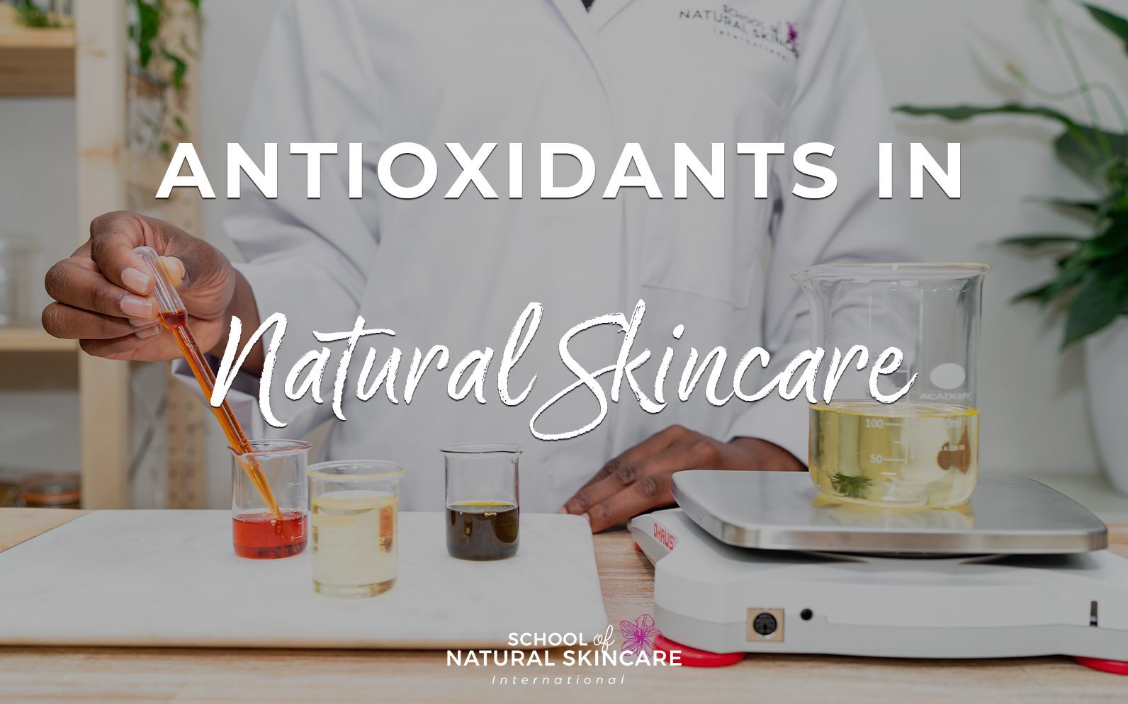 Natural skincare with antioxidants