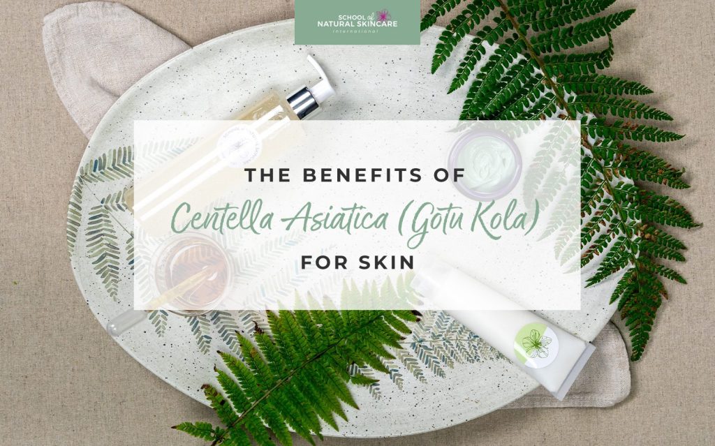 centella asiatica for skin