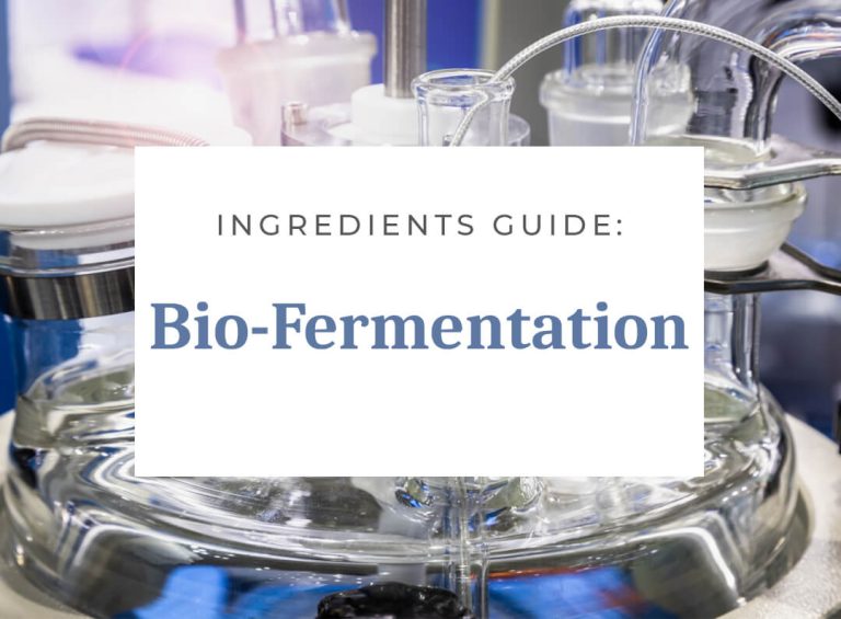 Ingredients guide on bio-fermentation process with equipment.