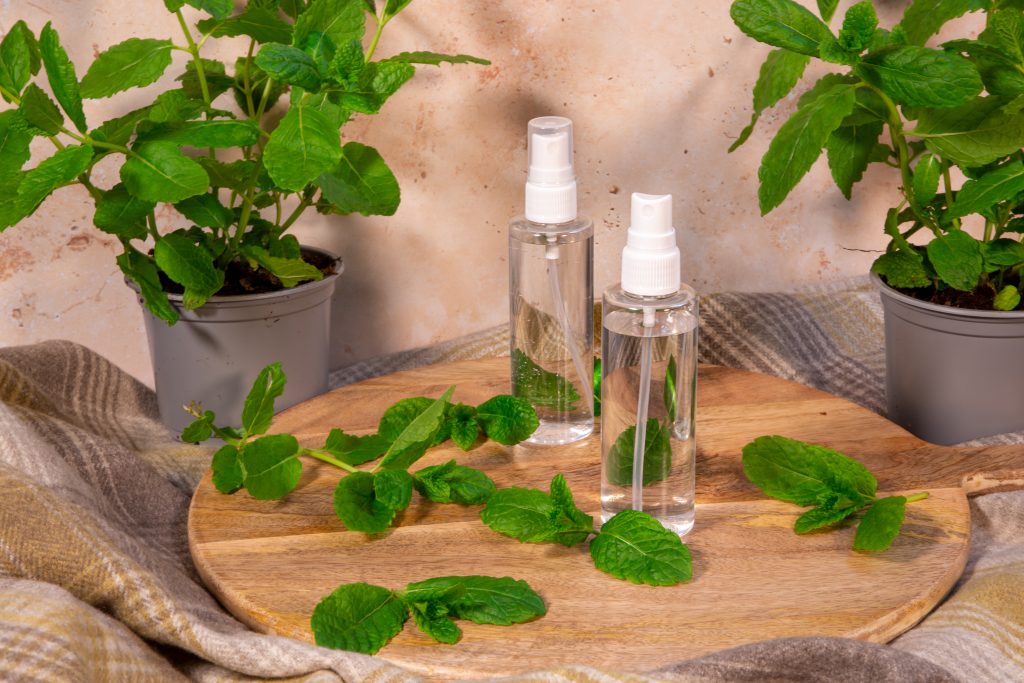 Mint plants and spray bottles on wooden surface.