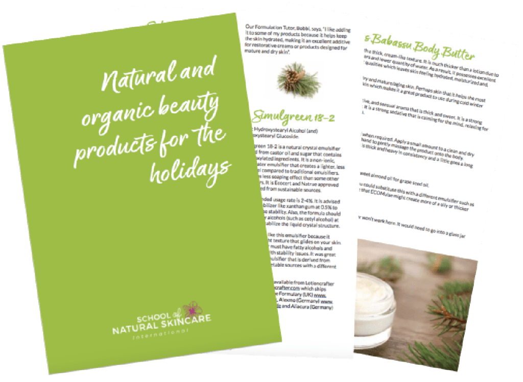 Natural organic beauty products guide for holidays.