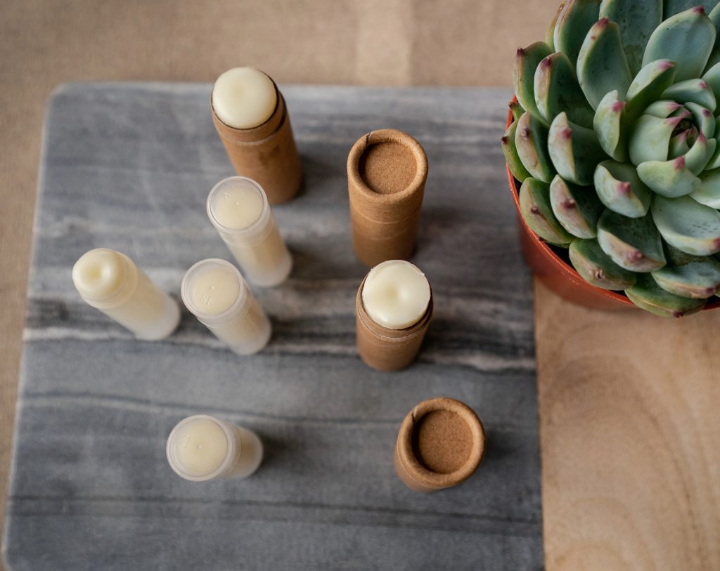 Eco-friendly lip balm tubes with succulent plant.