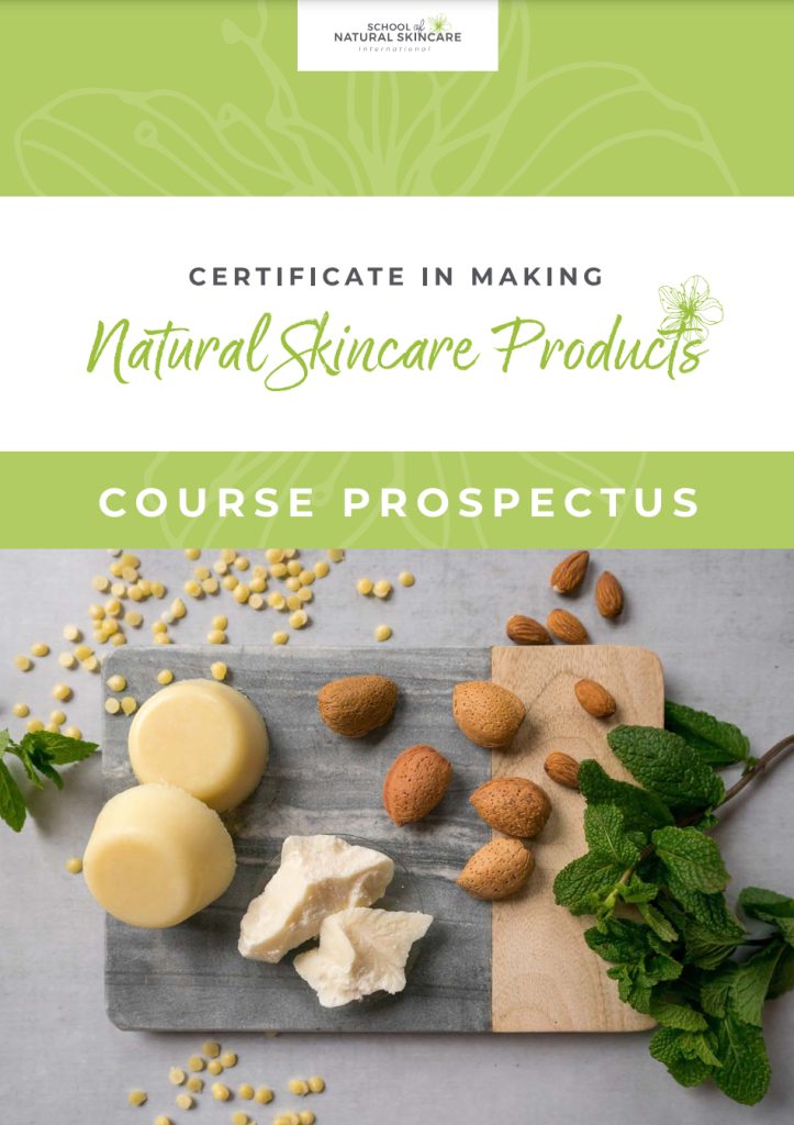 Natural skincare course prospectus with ingredients