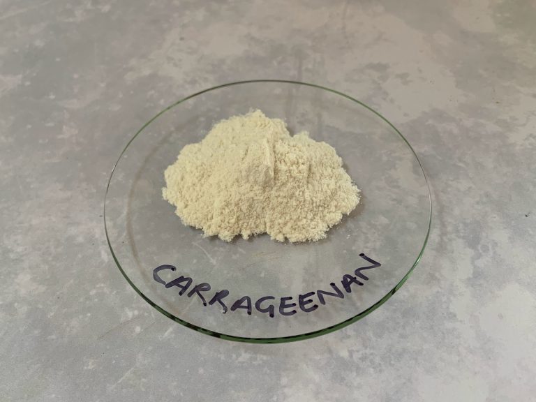 Carrageenan powder on a glass dish.