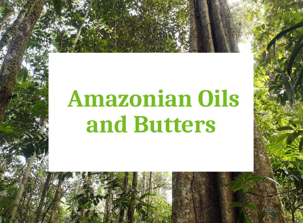 Amazonian oils and butters in the rainforest.