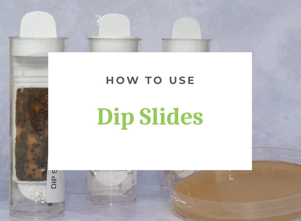 Guide: Using Dip Slides for Testing