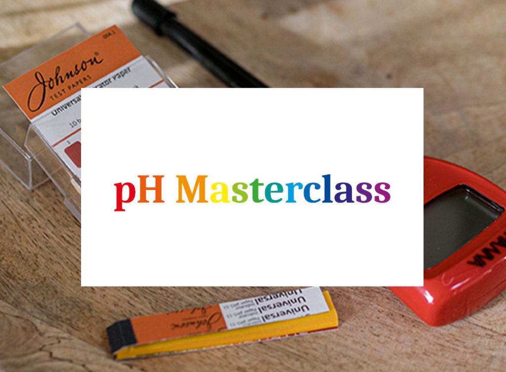 pH Masterclass with test strips and meter